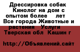 Дрессировка собак (Кинолог на дом с опытом более 10 лет) - Все города Животные и растения » Услуги   . Тверская обл.,Кашин г.